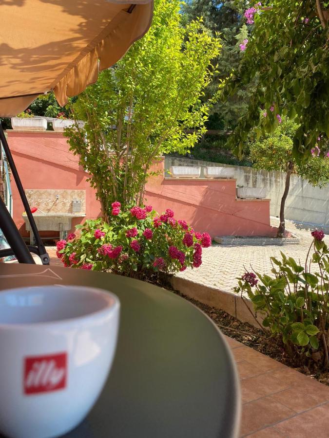 B&B Santa Lucia Silvi Paese Exterior photo